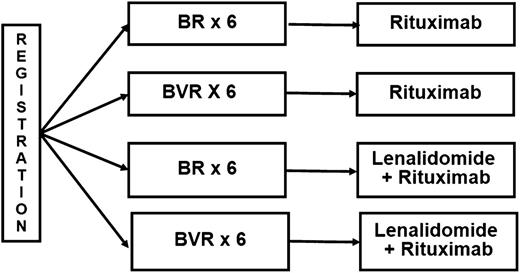 Figure 5. Schema of E1411. Maintenance therapy is administered for 2 years. B, bendamustine; R, rituximab; V, bortezomib.