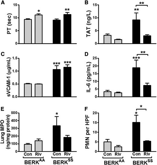 Figure 4. Role of FXa in vascular inflammation in SCD. (A-F) PT (A) and plasma levels of TAT (B), sVCAM-1 (C), IL-6 (D), and MPO (E) in the lungs and average number of neutrophils (F) in lungs of BERKAA (n = 16) and BERKSS (n = 13-15) mice fed with chow containing rivaroxaban (Riv) or placebo control (Con) for 10 days. Asterisks directly above bars indicate statistical significance between BERKSS mice compared with BERKAA mice within the same treatment group (Con or Riv) (*P < .05, **P < .01, ***P < .001).