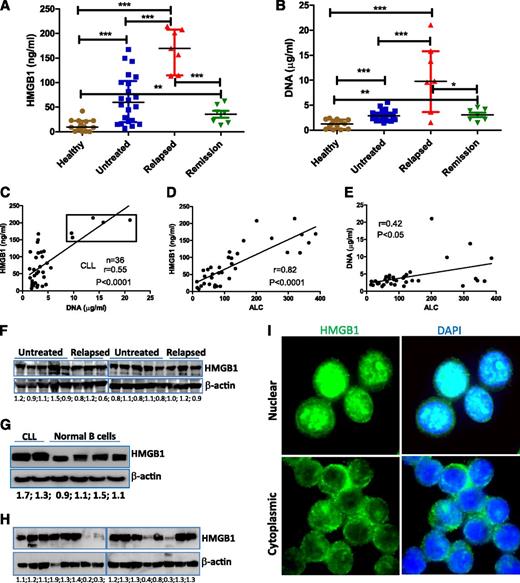 Figure 1. Detection of extracellular and intracellular HMGB1 protein in CLL samples. (A) HMGB1 and (B) DNA concentrations were determined in the plasma of healthy (n = 14) and CLL samples (untreated, n = 22; relapsed, n = 7; partial remission, n = 7). Significantly increased HMGB1 and DNA concentrations in CLL samples were expressed as median ± interquartile range and differences analyzed by Student t test. (C) Correlation between HMGB1 and DNA concentration in 36 cases of CLL plasma. Dots in the box are 5 cases with the highest concentrations of both HMGB1 and DNA and represent the group of patients with the poorest prognosis. (D-E) Correlations between plasma (D) HMGB1 or (E) DNA concentration with ALC. ALC information was collected at the time of blood draw (supplemental Table 3). (F-H) Determination of HMGB1 expression in CLL and normal B cells by western blotting. (G) Representative results from 2 cases of CLL and 4 normal B-cell samples. (H) HMGB1 expression in long-term cryopreserved CLL samples. Fifty micrograms of proteins was loaded into each lane. Mouse anti-HMGB1 antibody (Sigma-Aldrich) was used at 1:3000 dilution. β-actin was used as a loading control. Numbers below each pair of bands are ratios of HMGB1 to β-actin. (I) Detection of HMGB1 intracellular localization in freshly isolated CLL cells by immunofluorescent staining. DAPI indicates nuclear localization. The isotype control images are demonstrated in supplemental Figure 1A-B.