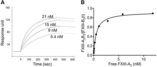 Figure 1. The binding of various concentrations of recombinant FXIII-A2 to FXIII-B2. (A) FXIII-B prepared from plasma was fixed to a CM5 chip and the binding of FXIII-A2 was followed by the measurement of SPR. Each sensorgram corresponds to the rFXIII-A2 concentration indicated in the figure. The data were fit to a simple 1:1 interaction model using the global data analysis option available within Biaevaluation software. (B) The binding of rFXIII-A2 to plasma-derived FXIII-B2 was detected in an ELISA-type binding assay; the binding curve represents the means of 3 separate experiments not deviating by more than 10%. FXIII-A2B2/FXIII-B2(t): the molar concentration of measured formed FXIII-A2B2 was divided by molar concentration of total added FXIII-B2.