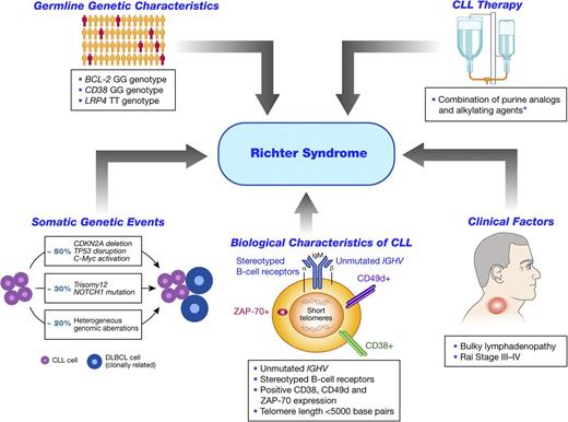 Figure 1. Risk factors associated with development of Richter syndrome in patients with CLL. *Data on the role of CLL therapy are controversial, with some studies suggesting they are contributory to the development of RS in CLL patients, and other studies suggesting not (see text for details). ZAP-70, ζ-associated protein-70.