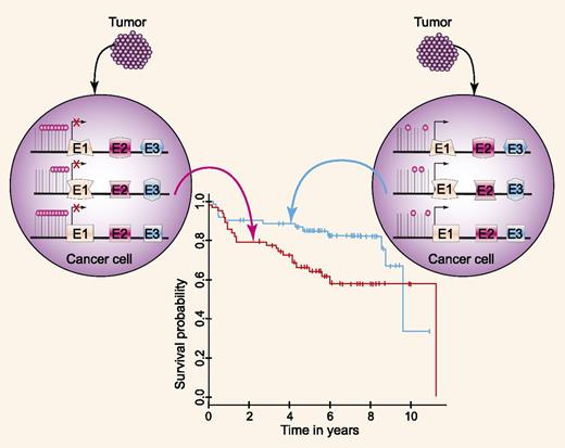 Magnitude of DNA methylation changes in DLBCL vs normal GC lymphocytes correlates with patients' survival. For source of the survival curve, see Figure 3B of Chambwe et al.1 Professional illustration by Paulette Dennis.