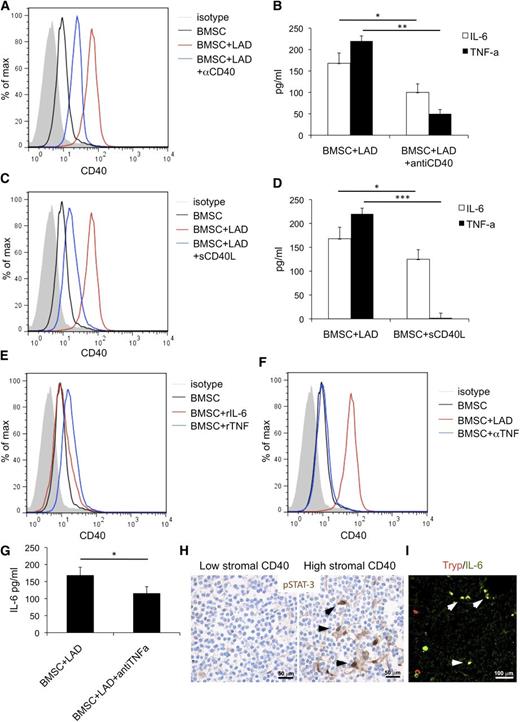 Figure 5. BMSC and MC activatory outcome depend on CD40/CD40L interaction. The addition of a blocking anti-CD40 antibody (αCD40) to the BMSC-MC coculture reduces the upregulation of CD40 on BMSC (A) and significantly decreases the release of TNF and IL-6 in the coculture supernatants (B). Consistently, soluble CD40L (sCD40L) induces significant CD40 upregulation (C) and increased IL-6 release by BMSC (D), although it has no effect on TNF release. (E) BMSC stimulation with rTNF causes a slight increase in CD40 expression on BMSC. In contrast, CD40 expression is not significantly modified by BMSC stimulation with rIL-6. (F) The addition of blocking anti-TNF antibody (αTNF) to the BMSC-MC coculture reduces the expression of CD40 induction on BMSC and (G) significantly decreases IL-6 levels. (H) Immunohistochemistry for pSTAT3, showing a higher number of cells with pSTAT3 nuclear localization within the BM infiltrates of cases with high CD40 stromal expression. Immunohistochemistry, STREPTavidin-biotin-peroxidase complex method, DAB chromogen; original magnification ×400. Microphotographs are relative to 2 representative cases with high (score 3) and low (score 1) CD40 stromal expression out of the 30 evaluated. (I) In cases with elevated CD40 stromal expression, double immunofluorescent analysis revealed the presence of tryptase+ MCs (red signal) expressing IL-6 (green signal). Immunofluorescence with Alexa-488 and Alexa-568 fluorochromes; original magnification ×400. Microphotograph is relative to 1 representative case with high (score 3) CD40 stromal expression. *P < .05; **P < .01; ***P < .001.