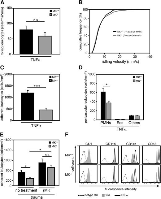 Figure 1. MK was critical for leukocyte adhesion and extravasation in inflamed cremaster muscle venules. (A-C) Intravital microscopy of cremaster muscle postcapillary venules in MK+/+ and MK−/− mice 2 hours after intrascrotal administration of TNF-α (500 ng). (A) Number of rolling leukocytes; n = 21 venules from 5 MK+/+ mice, n = 24 venules from 5 MK−/− mice. (B) Leukocyte rolling velocity was analyzed offline; accumulated frequency of rolling velocity includes 224 cells from 5 MK+/+ mice and 221 cells from 5 MK−/− mice. (C) Number of adherent leukocytes as analyzed by intravital microscopy; n = 21 venules from 5 MK+/+ mice, n = 24 venules from 5 MK−/− mice. (D) Differential cell counts of perivascular leukocytes as assessed in cremaster muscle whole mounts were determined morphologically. (E) Analysis of leukocyte adhesion in cremaster muscle venules of MK+/+ or MK−/− mice during trauma-induced inflammation before (no treatment) and 10 minutes after systemic application of rMK using intravital microscopy. For MK+/+ mice, no treatment: n = 24 venules from 6 mice; rMK: n = 9 venules from 3 mice; for MK−/− mice, no treatment: n = 21 venules from 6 mice; rMK: n = 10 venules from 3 mice. (F) Flow cytometric analysis of cell surface expression of Gr-1, as well as expression of CD11a, CD11b, or CD18 in unstimulated (w/o) or TNF-α (100 ng/ml) treated PMNs from MK+/+ or MK−/− mice following 20 minutes incubation at 37°C. Histograms are representative of 3 independent experiments. (A-E) Show mean ± SEM. *P < .05; ***P < .001. Eos, eosinophils; Others, lymphocytes and basophils; n.s., not significant.