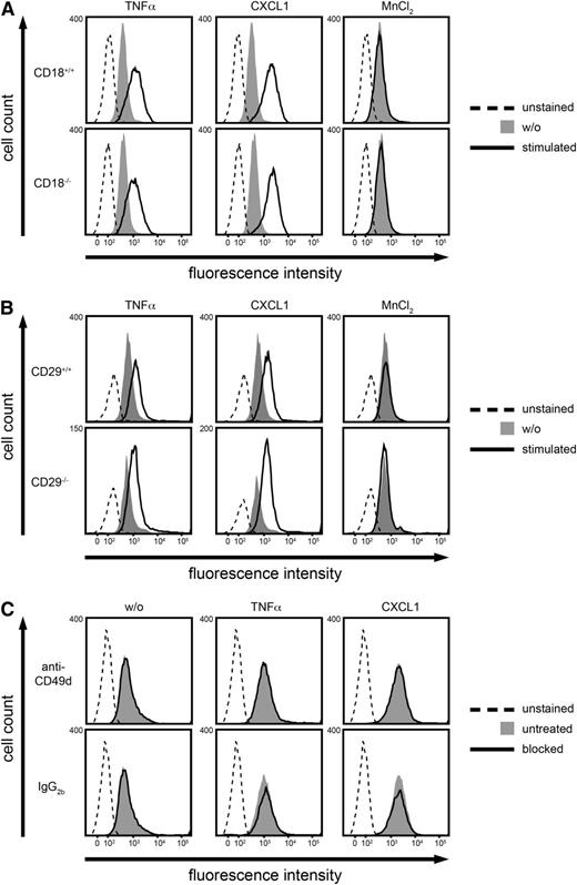 Figure 5. MK binding to PMNs did not require CD18 or CD29. (A-C) Analysis of binding of Alexa Fluor 488-labeled MK to murine PMNs using flow cytometry. For control, PMNs were left unstained. (A-B) Cells were left untreated for control (w/o) or stimulated with TNF-α (100 ng/ml), CXCL1 (100 ng/ml), or MnCl2 (3 mM) for 20 minutes at 37°C. (A) Binding of MK to isolated PMNs from CD18+/+ or CD18−/− mice. (B) Binding of MK to isolated PMNs from CD29+/+ or CD29−/− mice. (C) Binding of MK to PMNs from WT mice. The α4 subunit was blocked with the anti-CD49d antibody or left unblocked (untreated), and the rat IgG2b antibody was used as control. Blocking was performed for 20 minutes at RT and cells were subsequently left unstimulated (w/o) or stimulated with TNF-α (100 ng/ml), or CXCL1 (100 ng/ml) for 20 minutes at 37°C. Histograms (A-C) are representative of 3 independent experiments.