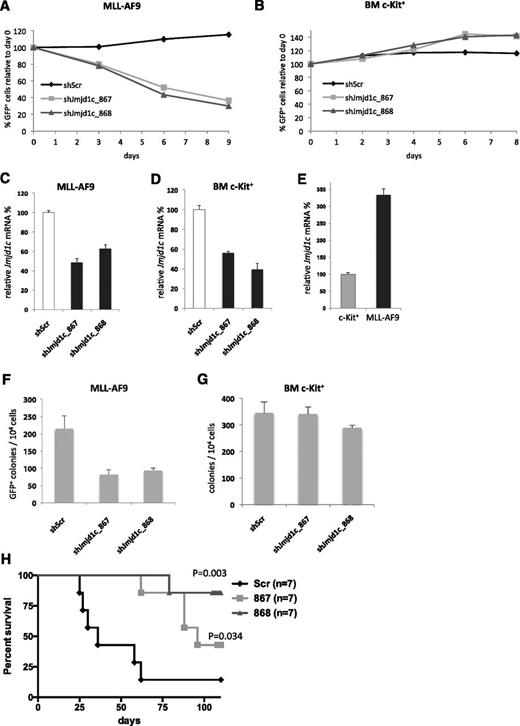 Figure 2. Differential sensitivity of mouse MLL-AF9 AML cells and normal BM cells to Jmjd1c KD. (A) Competitive proliferation assay of MLL-AF9 cells transduced with shRNAs targeting Jmjd1c-867 and Jmjd1c-868 or with a nontargeting control (Scr). Graph shows percentage of pMLS-GFP–transduced cells normalized to the percentage observed at day 0 (2 days after transduction). (B) Competitive proliferation assay of c-Kit–enriched BM cells transduced with shRNAs targeting Jmjd1c-867 and Jmjd1c-868 or with a nontargeting control (Scr). Graph shows percentage of pMLS-GFP–transduced cells normalized to day 0 (2 days after transduction). (C) Relative expression of Jmjd1c in MLL-AF9 cells transduced with Scr or Jmjd1c-targeting shRNAs at day 2 after transduction. (D) Relative expression of Jmjd1c in c-Kit+ cells transduced with Scr or Jmjd1c-targeting shRNAs at day 2 after transduction. (E) Relative Jmjd1c mRNA expression in c-Kit+ mouse BM cells and in MLL-AF9 primary mouse leukemic cells. (F) Number of colonies generated by MLL-AF9 cells transduced by pMLS-Scr, pMLS-867, or pMLS-868. Cells were plated in semisolid media 2 days after transduction. Error bars indicate standard deviation of the mean (n = 3). (G) Number of colonies generated by c-Kit+ cells transduced by pMLS-Scr, pMLS-867, or pMLS-868. Cells were plated in semisolid media 2 days after transduction. Error bars indicate standard deviation of the mean (n = 3). (H) Survival curves of sublethally irradiated mice transplanted with 104 MLL-AF9 cells transduced with pMLS-Scr, pMLS-867, or pMLS-868. GFP+ cells were sorted by FACS and transplanted 2 days after transduction.