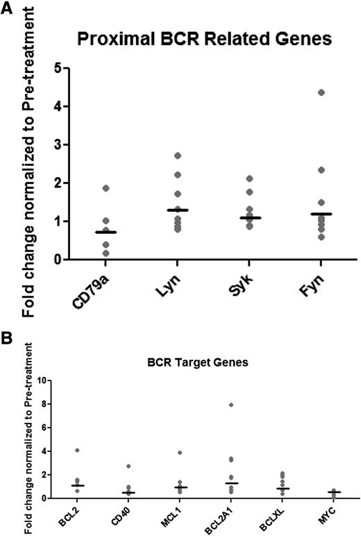 Figure 3. Real-time PCR of BCR pathway–associated genes in persistent lymphocytes. Patient samples at baseline and 12 months of ibrutinib therapy were evaluated for gene expression of proximal signaling molecules and target genes of ERK, AKT, and NFκB. There is no consistent change in gene expression of either (A) proximal BCR genes or (B) BCR target genes.