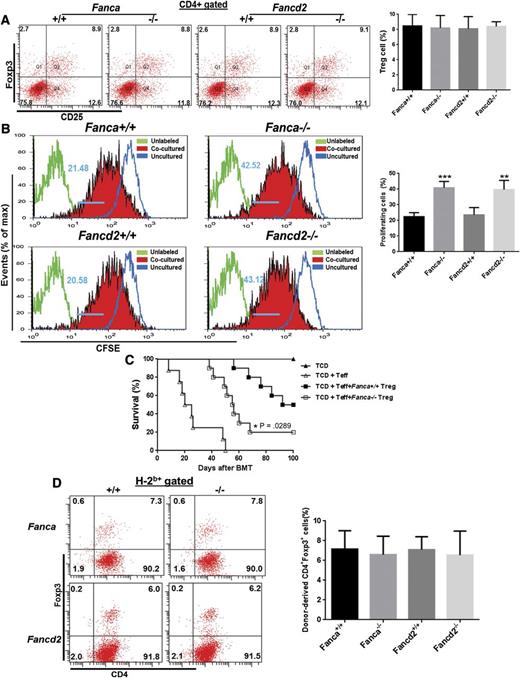 Figure 1. FA Treg cells show lower suppression potential. (A) FA deficiency does not alter Treg cell number in native mice. Splenocytes from mice with the indicated genotypes were subjected to flow cytometry analysis for CD4, CD25, Foxp3 staining. CD4+ cells were gated for analysis of CD25+Foxp3+ cell portion. Representative flow graph (left) and quantification (right) are shown. Results are means plus or minus SD of 2 independent experiments (n = 6 per group). (B) FA Treg cells fail to suppress Teff cell proliferation in vitro. Carboxyfluorescein diacetate succinimidyl ester (CFSE) labeled WT CD4+CD25− Teff cells were cocultured with CD4+CD25+ cells freshly isolated from either WT or Fanca−/−, Fancd2−/− mice at a ratio of 2:1 in Dulbecco's modified Eagle's medium containing 10% fetal calf serum for 5 days followed by flow cytometry analysis for CFSE retention. Data were analyzed by FlowJo software. Representative flow graph (left) and quantification (right) are shown. Results are means plus or minus SD of 3 independent experiments (n = 9 per group). (C) FA Treg cells are less suppressive in preventing GVHD in vivo. Lethally irradiated Balb/c recipients were transplanted with 5 × 106 TCD BMCs from WT C57BL/6 animals alone, or with sorted WT Teff cells (CD4+CD25−, 5 × 105) plus or minus equal numbers of sorted CD4+CD25+ Treg cells from either WT C57BL/6, Fanca−/−. Survival of recipients was monitored by Kaplan-Meier curve method. Each group includes 7 to 10 mice. (D) No difference in cell number of donor-derived Treg cells. Splenocytes isolated from recipients described in (C) were subjected to Flow cytometric analysis for H-2b, CD4, Foxp3 staining. Donor H-2b+ cells were gated for CD4+Foxp3+ cell portion. Representative flow graph (left) and quantification (right) are shown.