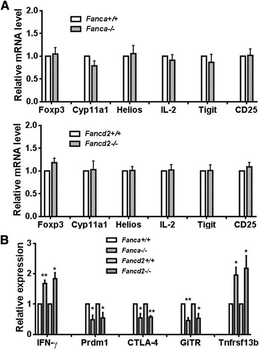Figure 2. FA deficiency affects Foxp3 transcriptional activity. (A) Relative expression levels of Foxp3 signature genes in WT and Fanca−/− (upper) or Fancd2−/− (lower) donor T cells. RNA extracted from H-2b+CD4+ cells isolated from recipients transplanted with Treg cells from WT, Fanca−/−, or Fancd2−/− mice was used for real-time PCR analysis using primers specific for the indicated Foxp3 target genes. Samples were normalized to the level of GAPDH mRNA. (B) Change in expression levels of Foxp3 target genes in FA infiltrated donor T cells (H-2b+CD4+). RNA extracted from H-2b+CD4+ cells of the recipients described in (A) was used for real-time PCR analysis using primers specific for the indicated Foxp3 target genes. Each group includes 6 mice.