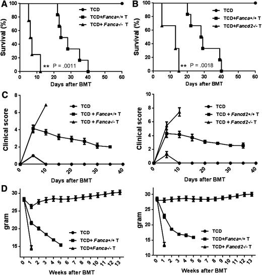 Figure 4. FA T cell induces increased GVHD lethality. Fanca−/− (A) and Fancd2−/− (B) T cells induce higher GVHD lethality. 5 × 106 of T cell deleted total BMCs (TCD) from WT mice plus 3 × 106 T cells from either WT or FA mice were transplanted to lethally irradiated Balb/c recipients. Survival of recipients was monitored by Kaplan-Meier curve method. Each group includes 6 to 10 mice. (C) GVHD clinical scores were determined as a measure of GVHD severity in surviving animals on the indicated time points after allogeneic BMT. Data are presented as means plus or minus SD of 2 independent experiments. (D) Weight loss of the recipients. Average weights are shown for mice described in (A) and (B). Data are presented as means plus or minus SD of 2 independent experiments.