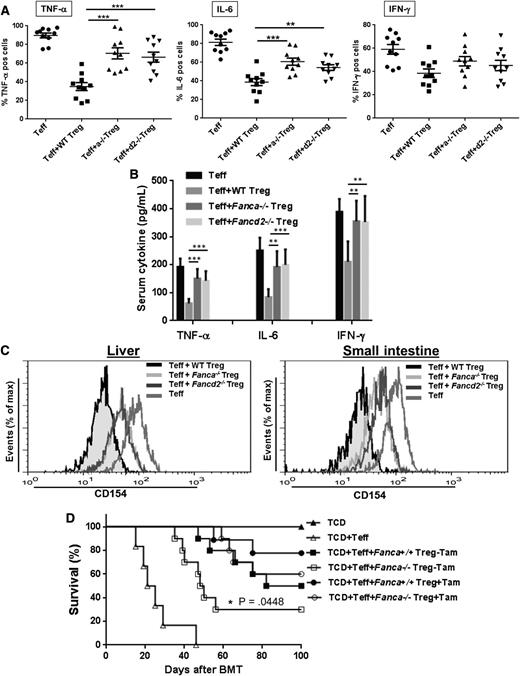 Figure 5. Exacerbated inflammation partially contributes to GVHD in FA. (A) Expression of GVHD effective cytokines in FA Treg-transplanted mice. Lethally irradiated Balb/c recipients were transplanted with 5 × 106 TCD cells from WT C57Bl/6 animals alone, or with sorted WT Teff cells (CD4+CD25−, 5 × 105) plus or minus equal numbers of sorted CD4+CD25+ Treg cells from either WT C57BL/6, Fanca−/− or Fancd2−/− mice. Donor T cells isolated from the small intestine of the Balb/c recipients transplanted with the indicated donor cells were stimulated with 50 ng/mL PMA and 2 μg/mL Ionomycin for 1 hour, followed by 3 hours incubation in the presence of 1 μg/mL Brefeldin A. Treated cells were stained H-2b+ and CD4+ antibodies before the treatment with Cytofix/Cytoperm reagent. Cytokines were intracellularly stained with antibodies specific for TNF-α, IFN-γ, and IL-6 followed by flow cytometric analysis gated on the H-2b+CD4+ cell compartment. Each group includes 6 to 10 mice. (B) Levels of TNF-α, IFN-γ, and IL-6 in sera of recipient mice described in (A). (C) Increased NF-κB transcription activity in infiltrated FA T cells. H-2b+CD4+ T cells isolated from liver (left) and small intestine (right) of the recipients described in (A) were used for flow cytometric analysis for CD154. Representative flow graphs are shown. (D) p65 deletion partially reduces FA GVHD mortality. Treg cells from p65f/fFanca+/+ or p65f/fFanca−/− mice plus TCD + Teff cells were transplanted to lethally irradiated Balb/c recipients followed by DMSO or Tamoxifen treatment of 3 days. Survival of recipients was monitored by Kaplan-Meier curve method. Each group includes 6 to 9 mice.