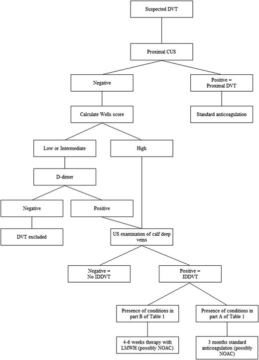 Figure 2. Suggested diagnostic/therapeutic algorithm in outpatients with suspected acute deep vein thrombosis of the lower limbs. The algorithm is based on the common availability of US investigation in vascular units and on placing a high value on avoiding the inconvenience of repeat imaging in the days after the first examination. NOAC, new oral anticoagulants.
