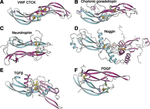 Figure 4. Diverse dimerization mechanisms among VWF CTCK and its relatives. Dimer structures are superimposed on the CTCK monomer in cyan and then aligned with it horizontally and vertically on the page. Disulfide bonds are shown in stick and colored as in Figure 1. (A) VWF CTCK. (B) Human chorionic gonadotropin (PDB code 1QFW). (C) Neurotrophin-4 (PDB 1HCF). (D) Noggin (PDB 1M4U). (E) TGFβ2 (PDB 1TFG). (F) PDGF (PDB 1PDG).