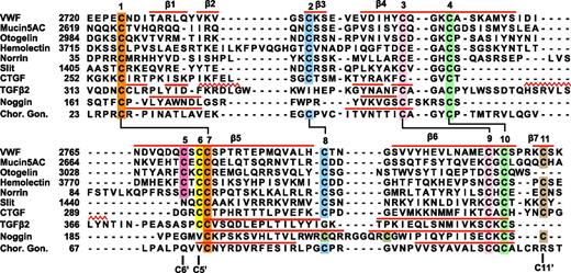Figure 5. Sequence alignment of VWF CTCK to CTCK domains from other proteins and structural alignment to related proteins. Sequence alignment with MAFFT was with the G-INS-i strategy.39 Structural alignment was with SSM40; the alignment was then condensed, closing gaps in loop regions and preserving alignment in β-strands (overlined) and in cysteines. Sequence accessions are murine mucin5AC, GI:114431224; zebrafish otogelin, GI:326669509; Drosophila hemolectin, GI:24663920; human norrin, GI:4557789; Drosophila Slit, GI:17136482; human connective tissue growth factor, GI:49456477; human TGFβ2 GI:48429157; human noggin, GI:1117817; and human chorionic gonadotropin β-subunit, GI:132566538.