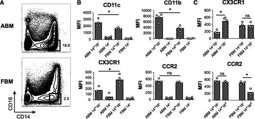 Figure 1. Phenotypic characterization of human bone marrow monocytes. (A) Representative plot of bone marrow monocytes in ABM and FBM. CD14+CD16− classical monocytes are gated as shown. (B) Mean fluorescence intensity (MFI) of CD11c, CD11b, CX3CR1, and CCR2 as expressed on classical monocytes or on the CD14− nonmonocyte population in FBM and ABM. (C) MFI of CX3CR1 and CCR2 in classical (CD14+CD16−) and nonclassical (CD14+CD16+) monocyte populations in ABM and FBM. Representative of 3 or more experiments; n = 12 (total from all experiments).