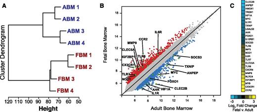 Figure 2. Transcriptional characterization of human bone marrow monocytes. (A) Unbiased cluster analysis of gene expression of ABM and FBM classical monocytes. (B) Scatterplot of pairwise global gene expression comparing ABM and FBM classical monocytes (log2 signal intensity). Genes that were differentially expressed between groups are indicated in red and blue. Genes of interest in green are also significantly differentially expressed (FDR ≤ 0.05, fold change ≥2). (C) log2 fold change of genes in green (fetal vs adult).