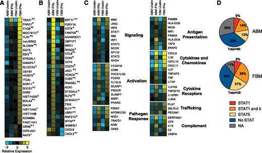 Figure 5. IFN-γ–stimulated genes in FBM and ABM classical bone marrow monocytes. (A) Cells were stimulated with 40 ng/mL IFN-γ for 4 hours and the sorted to >99% purity for whole-genome gene microarray analysis. Panels A to C depict a representative subset of the differentially expressed genes. (A) A subset of genes is not differentially expressed at baseline between ABM and FBM but is significantly more highly expressed in FBM than ABM after stimulation with IFN-γ (based on relative expression and an FDR ≤ 5%). Relative expression is the log2 representation of gene expression compared with median normalized array values. All genes marked with an asterisk (*) have bioinformatically identified putative STAT1 binding sites in their promoters; all those marked with a dagger (†) have bioinformatically identified putative STAT5 binding site in their promoter. (B) A subset of genes is not differentially expressed at baseline between ABM and FBM but is significantly more highly expressed in ABM than FBM after stimulation with IFN-γ (based on relative expression and FDR ≤ 5%). (C) A subset of genes that is not differentially expressed at baseline between ABM and FBM and is not significantly differentially expressed between ABM and FBM and are induced in both subsets after stimulation with IFN-γ (based on relative expression and an FDR ≤ 5%). (D) Pie chart of putative STAT1 and STAT5 binding sites in the promoters of significantly differentially expressed genes. NA indicates that there is no bioinformatic information (on any transcription factor) available on the gene of interest.