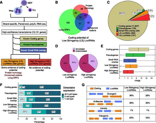 Figure 1. Identification and characterization of mouse erythro-megakaryocytic lncRNAs. (A) Bioinformatic pipeline for identification of lncRNAs. See “Materials and methods” for details. (B) Venn diagram showing protein coding potential of low-stringency lncRNAs as assessed by 3 different bioinformatic tools. Note that bioinformatic tools, even after calibration with test datasets (supplemental Figure 1C), show limited correlation with each other in determining coding potential. (C) Pie chart showing composition of the mouse erythro-megakaryocytic polyA+ transcriptome; 8.4% of genes are candidate lncRNA genes (low + high stringency). (D) Most erythromegakaryocytic lncRNAs are not annotated in RefSeq, UCSC, or Ensembl datasets. (E) Expression measured as FPKM for gene categories. LncRNA genes have overall lower expression than coding genes. (F) Cell specificity of RNAs according to type. Note that approximately one-third of high-stringency lncRNAs are detectable in only 1 of the cell types indicated at the top of panel A, as compared with 90% of coding genes, most of which are detectable in all 3 types. (G) Percentage of lncRNA genes in orientations relative to nearby coding genes. ORF, open reading frame.