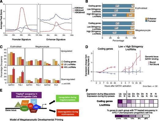 Figure 2. Most mouse polyA+ erythro-megakaryocytic lncRNAs arise from conventional promoters and are regulated by key transcription factors. (A) Histone modifications H3K36me3, H3K4me1, and H3K4me3 were determined globally by ChIP-seq and analyzed at gene TSSs. Composite profiles are shown for promoter signatures (H3K4me3-high/H3K4me1-low) and enhancer signatures (H3K4me3-low/H3K4me1-high). The x-axis shows distance from TSS; y-axis shows average peak score for the indicated modifications. (B) Relative proportions of enhancer and promoter signatures at the TSSs of erythro-megakaryocytic coding and lncRNA genes. (C) Transcription factor (TF) occupancy at erythro-megakaryocytic coding and lncRNA genes measured by ChIP-seq. The genes are subclassified according to whether they are up- or downregulated in erythroblasts or megakaryocytes compared with MEPs, as measured by RNA-seq. (D) The expression of erythroid coding and noncoding genes in the Gata1– mouse erythroblast line G1E-ER4 after activation of an estradiol-induced form of GATA1. (E) Model for megakaryocytic developmental priming. Genes with binding of a heptad of TFs in stem/progenitor cells are “primed” for megakaryocytic differentiation, and are activated during megakaryopoiesis and repressed during erythropoiesis. (F) Percentage of genes in each expression group showing occupancy by the TF heptad in the HPC-7 cell line. For both coding genes and lncRNAs, genes that are upregulated during megakaryopoiesis and either downregulated or unchanged during erythropoiesis show higher levels of genomic locus heptad occupancy in progenitor cells. Dn, downregulated; N, no change; Up, upregulated.