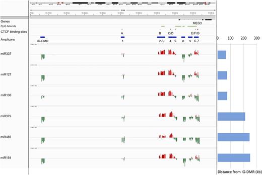 Figure 4. Correlation between DNA methylation levels and gene expression profiles. The expression of 6 miRNAs included in the 14q32 cluster (miR-127, miR-136, miR-154, miR-337, miR-379, and miR-485) was correlated with DNA methylation data at the DMRs. The position of the CpG island, the CTCF binding sites, and the amplicon is labeled with green, red, and blue horizontal bars, respectively. The correlation is represented with red and green vertical bars indicating positive and negative values, respectively. Each column indicates a CpG site. The distance of each gene from the IG-DMR is indicated on the right.