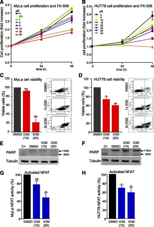 Figure 3. Inhibition of PLC downstream signaling affects cell proliferation, survival, and NFAT activity in CTCL cells. Cell proliferation assay in Myla (A) and HUT78 (B) cells incubated for 0, 24, or 48 hours, using DMSO (control) or the indicated amount of FK-506 (µM). N = 3, error bars indicate SEM. Percentage of viable Myla (C) and HUT78 (D) cells incubated for 24 hours with vehicle (DMSO) or the indicated fold 50% inhibitory dose concentration of FK-506 (50% inhibitory dose values at 48 hours for Myla and HUT78 were 27.4 and 18.9 µM, respectively). Right plots are representative examples for AnnexinV (X-axis)/7AAD (Y-axis) staining data in each case. Representative western blot using anti–poly ADP ribose polymerase and anti-tubulin in whole protein Myla (E) and HUT78 (F) cell lysates treated with DMSO or FK-506 as in C and D. Percentage of NFAT activity in nuclear extracts from Myla (G) or HUT78 (H) cells treated with DMSO (vehicle) or FK-506 in the same conditions as above (Figure 3C-F). N = 3; error bars indicate SEM.