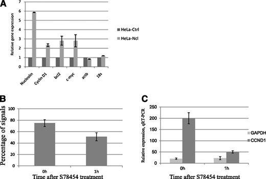 Figure 6. Ccnd1 transcription levels and colocalization of nucleoli and Ccnd1. (A) A nucleolin-GFP pEGFPC1. Nucelolin construct was transfected into HeLa cells followed by selection of GFP-positive cells by flow cytofluorimetry. Transcription of nucleolin, Ccnd1, c-myc, Bcl2, Actin B, and 18S rRNA studied by quantitative reverse-transcription PCR in GFP-nucleolin and mock-transfected cells. Error bars represent the standard deviation between duplicates. (B-C) Ccnd1 localization and expression in Granta-519 cells treated with a histone deacetylase inhibitor. The localization of a Ccnd1 allele <1 µm from a nucleolus (B) as determined using 3D-FISH and Ccnd1 transcription rate (C) as measured by quantitative reverse-transcription PCR. The data represent the average results from 2 independent experiments.