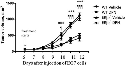 Figure 1. Similar effects of ERβ agonist treatment on lymphoma growth in wild-type and ERβ−/− mice. Male C57/Bl6J wild-type and ERβ−/− (BERKO) mice were subcutaneously grafted with 2 × 106 ERβ-positive EG7 lymphoma cells. Starting from day 7 after tumor cell grafting, animals were treated subcutaneously daily with the ERβ-selective agonist DPN (12.5 μmol/kg per day) or vehicle. The groups consisted of 5 vehicle-treated wild-type (●), 6 DPN-treated wild-type (▪), 6 vehicle-treated ERβ−/− (▼), and 5 DPN-treated ERβ−/− (▲) mice. For wild-type mice, vehicle vs DPN: ***P < .001. For ERβ−/− mice, vehicle vs DPN: ¶P < .05 and ¶¶¶P < .001. No significant difference was observed between DPN-treated wild-type and ERβ−/− mice or between wild-type and ERβ−/− vehicle-treated mice. WT, wild-type.