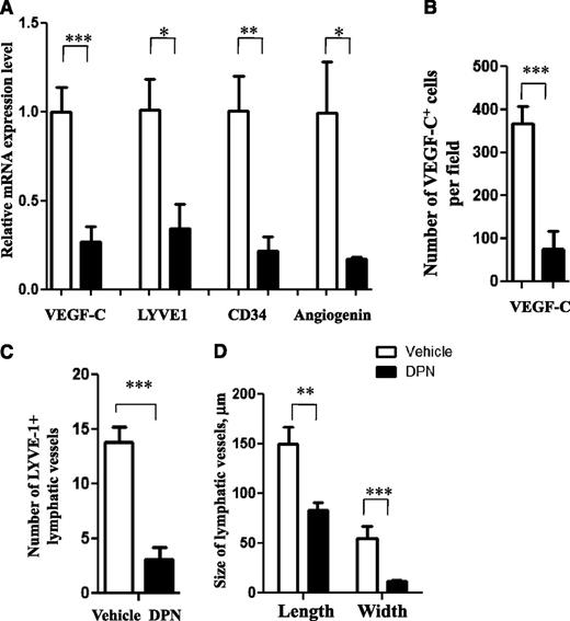 Figure 3. DPN inhibits the expression of genes regulating vascularization in MCL. (A) DPN inhibits expression of VEGF-C, LYVE-1, CD34, and angiogenin mRNA in Granta-519 MCL tumors. (B-D) The number of VEGF-C–positive cells, as determined by immunostaining (B), the number of LYVE-1-positive lymphatic vessels (C), and the size of the lymphatic vessels, as determined by immunostaining (D), were decreased in DPN-treated Granta-519 MCL lymphomas compared with control. Each group consisted of 5 mice. For vehicle vs DPN: *P < .05, **P < .01, and ***P < .001. Data are representative of 3 independent experiments.