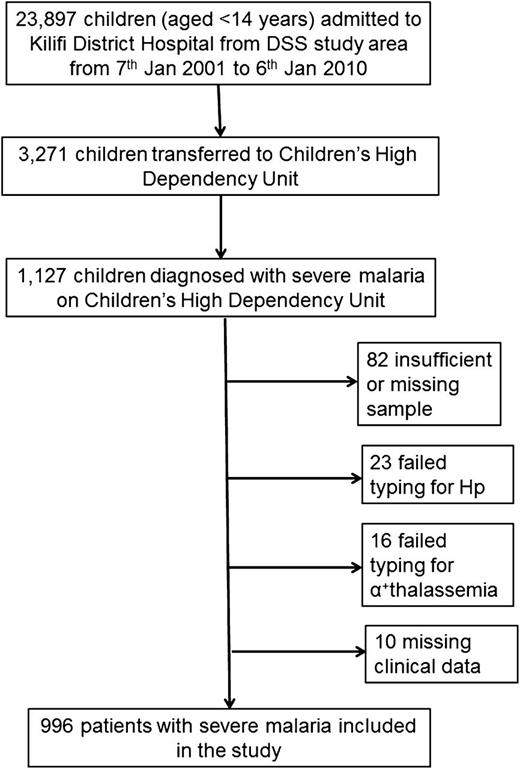 Figure 1. Study construction. Between January 7, 2001 and January 6, 2010, 23 897 children were admitted to Kilifi District Hospital from the study area served by the Kilifi Health and Demographic Surveillance System (DSS), and of these, 3271 were admitted to the Children’s High Dependency Unit. Severe life-threatening malaria was diagnosed in 1127 patients on the High Dependency Unit. Eighty-two samples were missing or had insufficient DNA for genotyping, 23 samples could not be typed for Hp, 16 samples could not be typed for α+thalassemia, and 10 samples were missing clinical data. A total of 996 severe malaria cases had complete genotyping and clinical data and were included in the study.