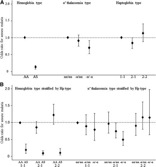 Figure 2. ORs for severe malaria by HbAS, α+thalassemia, and Hp genotypes. Logistic regression models were used to determine ORs for risk of severe malaria by (A) Hb type (HbAS), α+thalassemia type, and Hp genotype. HbAA, αα/αα and Hp1-1 were the respective reference types with an OR for severe malaria of 1.0. (B) Hb type (HbAS) and α+thalassemia type stratified by Hp genotype. HbAA and Hp1-1 and αα/αα and Hp1-1 were the respective reference types with an OR for severe malaria of 1.0.
