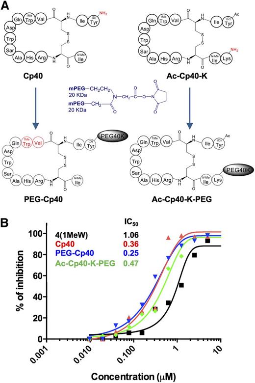 Figure 1. Preparation and characterization of compstatin Cp40 and long-acting derivatives thereof. (A) Schematic representation of the PEGylation strategy: PEG-Cp40 was prepared by adding a reactive two-arm branched PEG moiety of 40 kDa to the unprotected amino terminus of Cp40. In the case of Ac-Cp40-K-PEG, the N terminus was acetylated, a C-terminal lysine residue was added to the peptide during synthesis, and the PEG reagent was reacted with the lysine side chain. The dipeptide fragment used for the mass spectrometric quantification of PEG-Cp40 in plasma is indicated in red. (B) Evaluation of the complement inhibitory activity of Cp40 and its PEGylated derivatives using a complement activation ELISA. The clinically developed analog 4(1MeW)14 is shown as a control (for more information on individual compstatin analogs, see also supplemental Figure 1). The panel shows a representative plot out of 3 separate experiments.