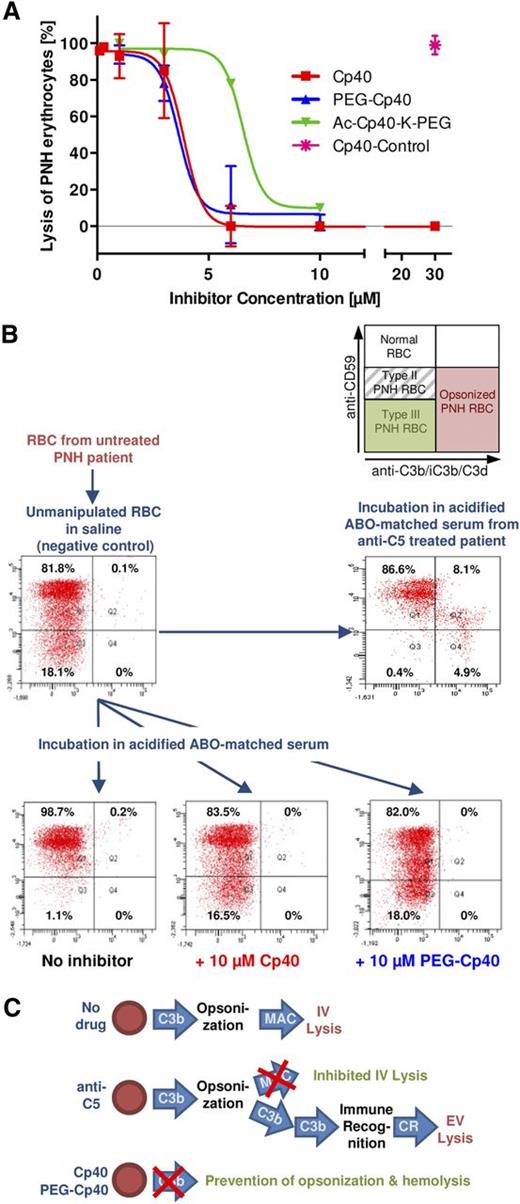 Figure 2. Effect of C3 inhibitors on hemolysis and C3 fragment deposition of PNH erythrocytes. (A) Dose-response curves from the in vitro hemolysis assay with Cp40 (red) and its long-acting derivatives PEG-Cp40 (blue) and Ac-Cp40-K-PEG (green). Lysis of PNH erythrocytes (y-axis) is expressed as a relative percentage of the lysis observed without any inhibitor (in each experiment, 100% represents the lysis observed in AcNHS) relative to the concentration of the C3 inhibitors (x-axis). Curves represent the mean of 10 experiments performed on samples obtained from 2 PNH patients; error bars represent standard deviations. (B) Flow cytometry assessment of C3 fragment deposition on the surface of erythrocytes from untreated PNH patients. Dot plots show intact erythrocytes as gated by physical parameters; CD59 (59-PE monoclonal Ab; y-axis) vs C3 fluorescein isothiocyanate (Ab14396 polyclonal Ab; x-axis). Scheme of erythrocyte populations and potential pattern of C3-fragment deposition on normal, type II, and type III PNH erythrocytes as observed in the fluorescence-activated cell sorter plots (top); unmanipulated fresh erythrocytes (negative control) and erythrocytes incubated in the presence of eculizumab (acidified ABO-matched serum from a patient on eculizumab, positive control for C3 deposition) (middle, from left to right); and erythrocyte pellets after incubation in acidified ABO-matched NHS in the absence of inhibitors (positive control for hemolysis) and in the presence of blocking concentrations of Cp40 and PEG-Cp40. Plots show representatives out of the 10 experiments (bottom, from left to right). (C) Schematic representation of activity spectrum of Cp40 in comparison with anti-C5 therapy. Eculizumab only blocks MAC formation and thus intravascular lysis, thereby enabling possible C3 opsonization of surviving erythrocytes and subsequent extravascular hemolysis. C3 inhibitors such as Cp40 prevent C3 activation upstream, thereby preventing both intravascular lysis and possible C3-mediated extravascular lysis via CR.