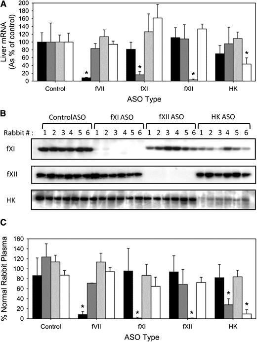 Figure 1. Effect of fVII, fXI, fXII, and HK ASOs on hepatic mRNA expression, protein levels, and activity. Male New Zealand white rabbits were treated subcutaneously with control, fVII, fXI, fXII, and HK ASO for 4 weeks at 15-mg/kg twice-weekly dose (n = 8 per treatment group). Two days after final dosing, blood was collected for quantification of (A) hepatic fVII, fXI, fXII, and HK mRNA expression, (B) fXI, fXII, and HK protein levels by immunoblot analysis, and (C) procoagulant activity in fVII- (black bars), fXI- (dark gray bars), fXII- (light gray bars), and HK-deficient (white bars) human plasma. The bars for mRNA and activity levels represent the mean of 3 separate experiments for each rabbit, whereas the lines above the bars reflect the SD. *P < .05 compared with control ASO.