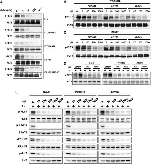 Figure 2. Potent inhibition of FLT3 in various mutant cells. (A) The BaF3 cells expressing the indicated FLT3 mutation were incubated for 2 hours with the indicated concentrations of G-749, and (B-C) for direct comparison with 3 inhibitors, the BaF3 cells expressing FLT3-ITD/F691L (B) or FLT3-D835Y (C) were incubated with the indicated concentrations of G-749, AC220, and PKC412 for 2 hours. The autophosphorylation level of FLT3 was visualized and compared by western blotting analysis. (D) Molm-14 cells were treated with FLT3 inhibitors in the presence of 5 ng/mL of FL for 2 hours. The autophosphorylation level of FLT3 was then analyzed. (E) For direct comparison, the phosphorylation levels of FLT3, STAT5, ERK1/2, and AKT were analyzed by immunoblotting as in panel D. Total protein of each protein was used as a loading control, otherwise specified.