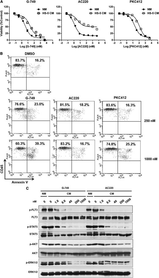 Figure 4. Stromal protective effect on cell death by FLT3 inhibitors. (A) MV4-11 cells were incubated for 72 hours with the indicated concentrations of G-749, AC220, and PKC412 in CM supplemented with 35% HS-5–derived medium or normal culture medium (NM). Cell viabilities were then determined by test inhibitors and plotted for comparison between NM and CM. (B) AML blasts (patient 12, supplementary Table 4) were cultured with HS-5 monolayer for 48 hours with each test inhibitor at 250 and 1000 nM. All cells were stained with annexin V (x-axis) and CD45 (y-axis) and then gated for CD45 positivity. The percentages of live and apoptotic AML blasts were indicated in the upper left and upper right, respectively. (C) Molm-14 cells were incubated for 6 hours in CM with the indicated concentrations of G-749 or AC220. The phosphorylation levels of FLT3, STAT5, AKT, and ERK1/2 were detected by immunoblotting. Noticeable differential response is that G-749 potently inhibited p-ERK1/2, but AC220 did not.