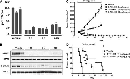Figure 5. In vivo antitumor activity of G-749 in xenograft and engrafted mouse model. (A-B) Pharmacodynamic analysis of G-749 in a subcutaneous MV4-11 xenograft model. (A) MV4-11 tumor-bearing mice received a single oral dose of G-749 HCl salt (10 mg/kg). Mice were euthanized at the indicated time point. From homogenized tumor tissues, the levels of p-FLT3 were measured by p-FLT3 ELISA in comparison with the vehicle-treated control group. The data from 3 mice at each point are presented (±SD). (B) The p-STAT5 and p-ERK1/2 in the same tumor tissue as in panel A were determined. (C) When the tumor size reached ∼450-600 mm3 in volume, mice (n = 9) received daily oral administration of vehicle or G-749 HCl salt (3, 10, and 30 mg/kg per day) for 28 days. The group of mice treated with 30 mg/kg per day of G-749 was subsequently monitored for an additional 28 days to examine tumor regrowth. ANOVA with Dunnett’s posttest was performed, ***P < .0001 at day 28. Significant inhibition of tumor growth and tumor regression was observed from 4 days onward (P < .05) (D) in vivo antitumor activity in an engrafted tumor model. The disseminated NOD/SCID mice were intravenously inoculated with Molm-14 cells. From 7 days after inoculation, mice received daily oral administration of G-749 (10 or 20 mg/kg per day) (n = 7) for 28 days. The log-rank test was made to compare survival curves between the vehicle-treated group and the 10 mg/kg per day (χ2 = 13.7, df = 1, P = .0002) or 20 mg/kg per day group (χ2 = 13.28, df = 1, P = .0003). The gray bars indicate the G-749 dosing period.