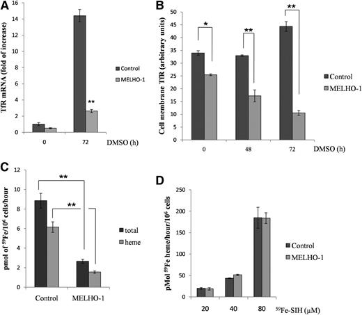 Figure 3. HO-1 overexpression decreases TfR expression and iron uptake in differentiated MEL cells. (A) qRT-PCR showing TfR mRNA of MEL (control) and MELHO-1 cells before (0 hours) and after (72 hours) induction with DMSO. (B) Flow cytometry analysis showing cell membrane TfR levels of DMSO-treated controls and induced MELHO-1 cells. (C) MEL cells were differentiated for 72 hours and, 3 hours before harvest, incubated with 59Fe-Tf, after which heme and non-heme fractions were isolated (see the “Materials and methods” section). (D) MEL cells were differentiated for 72 hours and 3 hours before harvest; they were then incubated with increasing amounts of 59Fe-SIH. Error bars of graphs represent standard deviation of 3 independent experiments (n = 3). *P < .05; **P < .001.