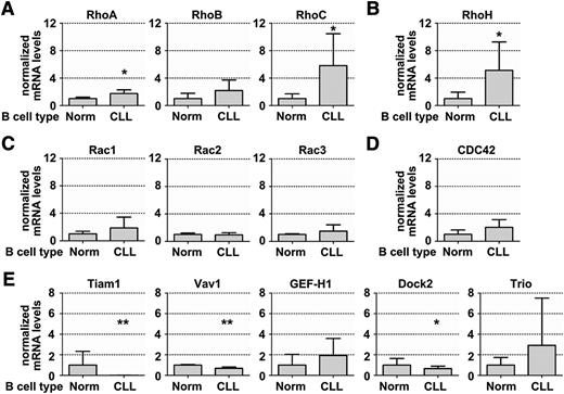 Figure 1. Gene expression profiling of GTPases and GEFs in CLL and healthy B cells revealed loss of the Rac activator Tiam1 in CLL. (A-E) Relative gene expression profile of GTPase family members in sorted peripheral blood-derived CLL cells compared with normal B lymphocytes. Real-time PCR was performed using TaqMan primers and probes, as described in Materials and methods. (A) RhoA mRNA expression in healthy B (n = 3) and CLL (n = 18) cells, RhoB in healthy B (n = 7) and CLL (n = 8) cells, and RhoC in healthy B (n = 7) and CLL (n = 8) cells. (B) RhoH expression in healthy B (n = 7) and CLL (n = 8) cells. (C) Rac1, Rac2, and Rac3 in healthy B (n = 3) and CLL (n = 18) cells. (D) CDC42 expression in healthy B (n = 3) and CLL (n = 18) cells. (E) Tiam1 expression in healthy B (n = 7) and CLL (n = 8) cells and Vav1 and Dock2 expression in healthy B (n = 3) and CLL (n = 18) cells. All data represent means ± standard deviation (SD).