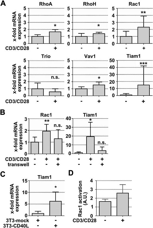 Figure 3. Autologous T-cell activation leads to the upregulation of Rac signaling molecules in activated CLL cells. (A) Relative mRNA quantification in activated and nonactivated CLL cells using Taqman primers and probes (n = 6). (B) Relative Rac1 and Tiam1 expression after culturing CLL cells in direct cell cell-contact with autologous, anti-CD3/CD28-activated T cells or separated from the activated T cells by a 0.4-µm pore membrane filter (n = 6). (C) Relative Tiam1 mRNA expression in CLL cells that were cultured in the presence of either NIH/3T3-mock transfected fibroblasts or CD40L-transfected cells (3T3-CD40L) (n = 7). (D) Basal Rac1 activation in activated and nonactivated CLL cells, measured as described in Materials and methods (n = 3). Data represent means ± SD.