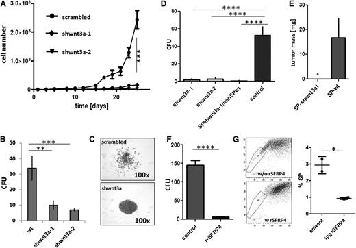 Figure 4. Reciprocal modulation of lymphoma growth by Wnt3a and SFRP4. (A-B) Lentiviral short hairpin (sh)-mediated silencing of Wnt3a decreased expansion capacity of OCI Ly3 lymphoma cells in suspension culture (A) (**P < .001 after day 17, 2-way ANOVA) and reduced CFU after seeding 1 × 103 single cells in semisolid media (B) (**P < .001; ***P < .0001; 2-way ANOVA). (C) Outspread colony morphology of sh-scramble OCI-Ly3 controls, tight, vs condensed growth pattern of Wnt3a-silenced cells. (D) Reduced tumor formation from shWnt3a variants after implantation in ovo (2 left columns, ***P < .0001; 1-way ANOVA). (E) Loss of tumorigenicity also after implantation of SP cells from the shWnt3a-1 variant cell line (n = 3, *P = .048; paired Student t test) as well as from admixtures of SP cells of shWnt3a variant cells with wild-type non-SP cells (SP shWnt3a/nonSPwt: 4% SP cells, 96% non-SP cells; D, third column; ****P < .0001; 1-way ANOVA). (F-G) Recombinant SFRP4 reduced CFU activity from OCI Ly3 (F) (2-sided Student t test, ****P < .001) and reduced the proportion of SP cells in suspension culture (G) (OCI Ly3, 2-sided Student t test, P = .033).