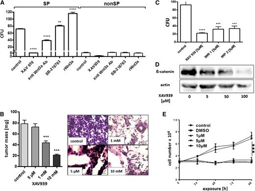 Figure 5. Pharmacologic inhibition of Wnt3a signaling impedes tumor growth of OCI-Ly3 lymphoma. (A) Exposure of 6 × 103 sorted OCI Ly3 SP- and 130 × 103 nonSP cells to different agents modulated the canonical wnt pathway, showing no effect on the rare colony formation from non-SP cells by any agent. Enhanced colony formation from SP cells was observed by recombinant Wnt3a (100 ng/mL) and the GSK-3-β inhibitor SB-216763 (5 mM), in contrast to neutralizing antibody against Wnt3a (20 µg/mL) and tankyrase inhibitor XAV939 (5 µM) suppressing colony formation from SP cells (1-way ANOVA, **P < .05, ****P < 0001). (B) When added to growing tumors in ovo, XAV939 reduced gross tumor growth (right; 1-way ANOVA, P < .0001), associated with an increasing loss of tumor cell infiltrates in the stroma of the implants (left; hematoxylin and eosin stain, original magnification ×100). (C) Equimolar concentrations of the wnt palmitoylation inhibitor IWP2 and the axin2 inhibitor IWR1 inhibited colony formation from 5 × 103 unsorted OCI Ly3 cells in semisolid media (1-way ANOVA, P < .0001). (D) Wnt inhibition by XAV939 reduced cellular β-catenin levels as detected by western blot. (E) XAV939 arrested cell proliferation compared with untreated or vehicle-treated controls (1-way ANOVA, ***P = .0041). DMSO, dimethylsulfoxide.
