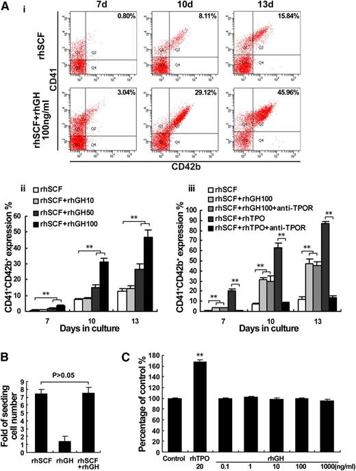 Figure 2. hGH promotes the differentiation of megakaryocytes. (A) Human cord blood-derived CD34+ cells were cultured in the presence of rhSCF (20 ng/ml) with or without different concentrations of rhGH (10, 50, and 100 ng/ml) or rhTPO (10 ng/ml) for 13 days. (i) The expressions of CD41 and CD42b in the cells treated with 100 ng/ml rhGH for 7, 10, and 13 days were analyzed by flow cytometry. (ii) Histogram showing the proportions of CD41+CD42b+ cells for each group. Data are from 3 independent experiments. Error bars denote SD. **P < .01. (iii) The influence of anti-TPOR treatment on the expression of CD41/42b induced by rhGH and rhTPO. Data are from 3 independent experiments. Error bars denote SD. **P < .01. (B) The increased numbers of cells in the culture at day 7 were analyzed by a cytometer and compared with seeding numbers of CD34+ cells at day 0. Data are from 3 independent experiments. Error bars denote SD. (C) Viability of M07e cells cultured with the indicated concentrations of rhGH for 72 hours as analyzed by CCK-8 assay. The data are from 6 independent assays with a single batch of cells. Error bars denote SD. **P < .01.