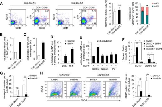 Figure 6. Activated c-Kit signaling is functionally required for the enhanced hemogenesis in Tie2-Cre;Smad4fl/fl embryos. (A) Representative FACS analysis of the caudal half cells from Tie2-Cre;Smad4fl/fl and control embryos, showing obviously increased proportion of CD41−CD45-CD31+c-Kit+ cells (red quadrant) in the Smad4 mutants (left). The graphs to the right show the percentages of the putative endothelium (CD31+CD41−CD45−) and relative c-Kit+ and c-Kit− proportions within the CD31+CD41−CD45− population (n = 8). (B) Real-time PCR analysis of c-Kit expression in the sorted Tie2+ populations derived from the caudal half of E9.5 embryos (n = 3). (C) Real-time PCR analysis of c-Kit expression in the immortalized endothelial cells derived from Smad4 mutant and control embryos (n = 3). Relative expression fold to that of control embryos is shown. (D) Real-time PCR analysis of c-Kit expression in E9.5 primary embryonic cells treated with BMP4 for the indicated periods (n = 3). (E) Real-time PCR analysis of c-Kit expression in the immortalized embryonic endothelium line treated by the indicated regents for 24 hours (n = 3). Relative expression fold to that of control group is shown. (F) AGM cultures derived from E9.5 embryos were performed and BMP4 and/or imatinib were added as indicated. Graph showing the percentages of different subpopulations in the cultures determined by FACS analysis (n = 3). (G) Graph showing the hemogenic colonies generated in the AGM cultures from Tie2-Cre;Smad4fl/fl and control embryos with or without imatinib (n = 4). (H) Tie2+ cells from the caudal half of Tie2-Cre;Smad4fl/fl and control embryos were cultured on OP9 with or without imatinib for 7 to 9 days. Representative FACS analysis of cells generated in the cultures is shown (left). The graph to the right denotes the numbers of CD45+ cells generated in the cultures (n = 3). Data are mean ± standard deviation. h, hours; NS, not significant. *P < .05; **P < .01.