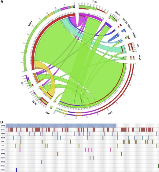 Figure 1. The frequency and the pairwise cooccurrence of mutations in the entire study cohort (n = 166). (A) These are represented by a Circos diagram. Cooccurring mutations are indicated in the clockwise direction; the length of the arc corresponds to the frequency of mutation in the first gene (color coded), and the width of the ribbon corresponds to the frequency of patients who also had a mutation in the second gene. The individual mutated genes for each patients in the whole cohort are indicated in (B).