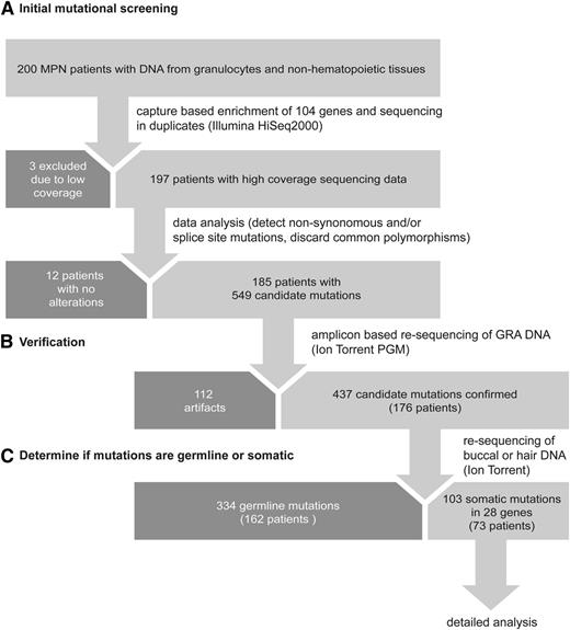 Figure 1. Targeted NGS in MPN: study design and workflow.