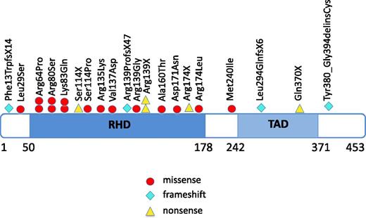 Figure 1. Localization of RUNX1 mutations in CN patients who developed leukemia or MDS. The position of RUNX1 mutations found in CN patients, with affected amino acids numbered. Amino acid positions correspond to the RUNX1 transcript variant Q01196 (www.uniprot.org). Locations of the functionally important RHD and TAD are shown. Each symbol represents 1 patient.