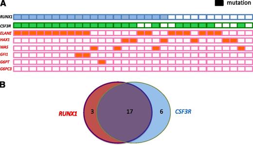 Figure 2. Frequency and distribution of acquired RUNX1 and CSF3R mutations and inherited ELANE, WAS, GFI1, GPT, and HAX1 mutations within a cohort of CN patients who developed leukemia or MDS. (A) Each patient with a RUNX1 mutation is represented by a blue rectangle, and each patient with a CSF3R mutation is represented by a green rectangle. Patients with inherited mutations are represented by orange rectangles. Open rectangles correspond to patients without mutations. (B) Venn diagram illustrating the relationship among RUNX1 and CSF3R mutations in CN patients who developed leukemia (n = 31). Diameters of each circle are roughly proportional to the number of mutations.