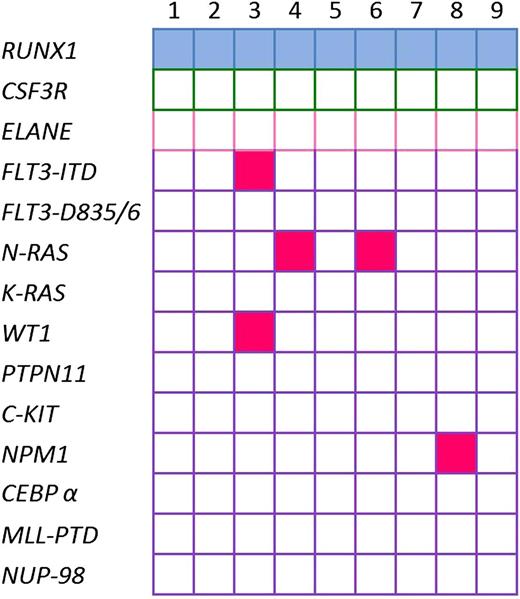 Figure 3. Mutational status of leukemia in de novo pediatric AML patients with RUNX1 aberrations. Identified gene mutations in 9 de novo pediatric AML patients with RUNX1 aberrations; each mutation is depicted by a blue rectangle. Patients with inherited mutations are represented by pink rectangles. Open rectangles correspond to patients without mutations.
