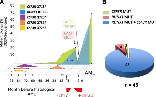 Figure 4. Cooccurrence of RUNX1 and CSF3R mutations in combination with monosomy 7 and trisomy 21 in a leukemic clone of a CN/AML patient. (A) Graphic presentation of a mutational analysis of deep-sequencing data for RUNX1 and CSF3R genes in CN/AML patient 14. Results of sequencing DNA samples from different time points prior to overt AML (x-axis) and the percentage of mutant clones (y-axis) are presented. (B) Diagram of the distribution of RUNX1 and CSF3R mutations in DNA isolated from single clones (n = 48) of AML samples from CN patient 14.