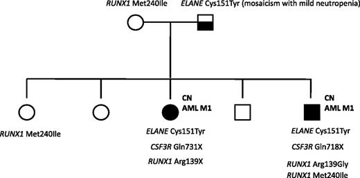 Figure 5. Mutation analysis of a CN/AML pedigree. Squares indicate males and circles indicate females. Open symbols represent unaffected persons; the half-filled square represent the father with a mosaicism for ELANE mutation and mild neutropenia; closed symbols represent 2 persons affected by CN, both of whom also developed AML-M1. Inherited mutations in ELANE (p.Cys151Tyr) and RUNX1 (p.Met240Ile) as well as acquired RUNX1 (p.Arg139Gly; p.Arg139*) and CSF3R (p.Gln718X; p.Gln731*) mutations are indicated for each affected person.